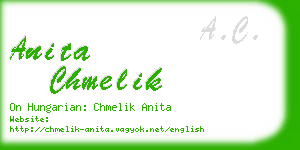 anita chmelik business card